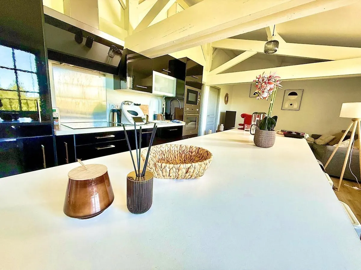 Loft T3 Lumineux - Auch Centreアパートメント フランス